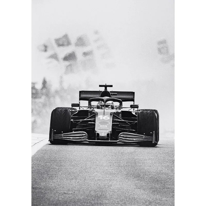 Black and White Famous Racing Sports Car Racer Photography Poster Printed Canvas Painting Wall Art Pictures Home Decor Gift Peaceful Pleasures Health and Wellness 9 20x30cm Unframed