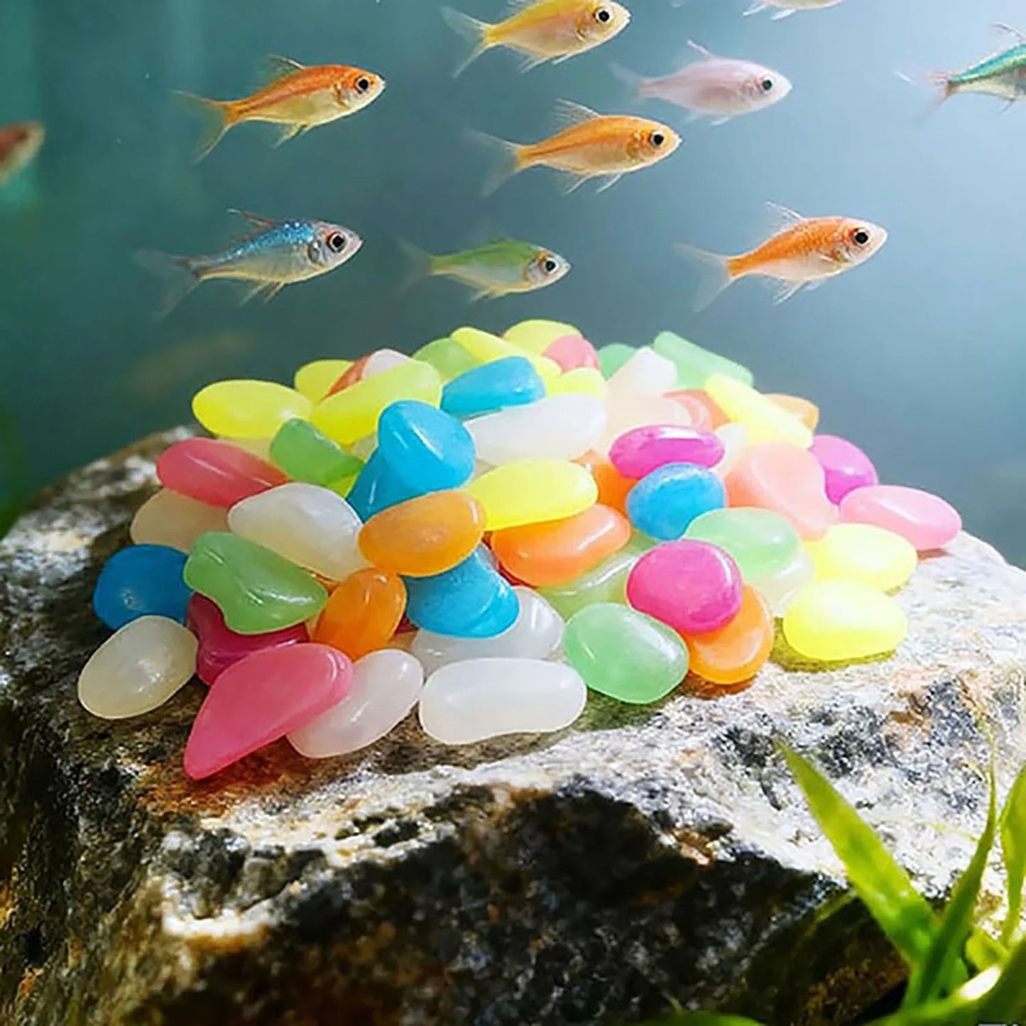 Glow in the Dark Decorative Pebbles | Garden & Aquarium Stones