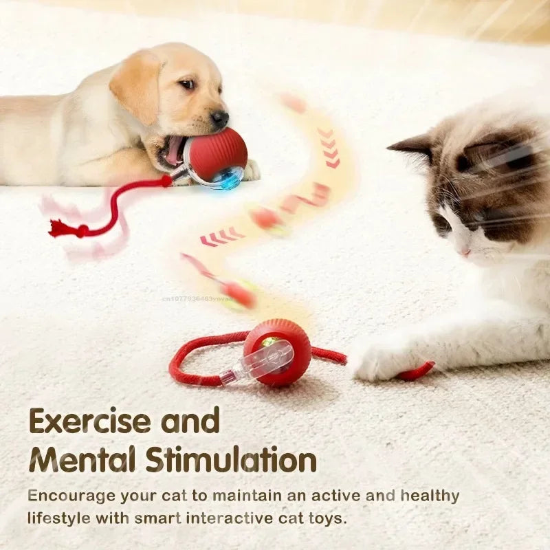 Electric Auto-Rolling Interactive Cat Ball Toy | USB Rechargeable