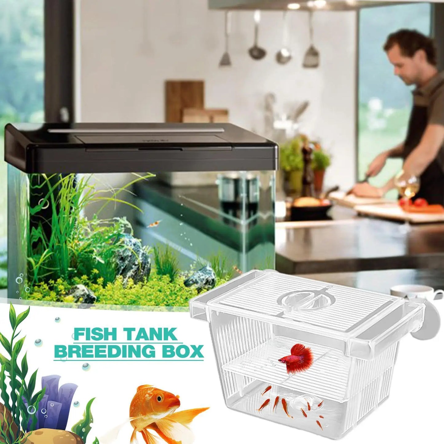 Clear Fish Breeder Box – Betta, Fry & Shrimp Isolation Tank
