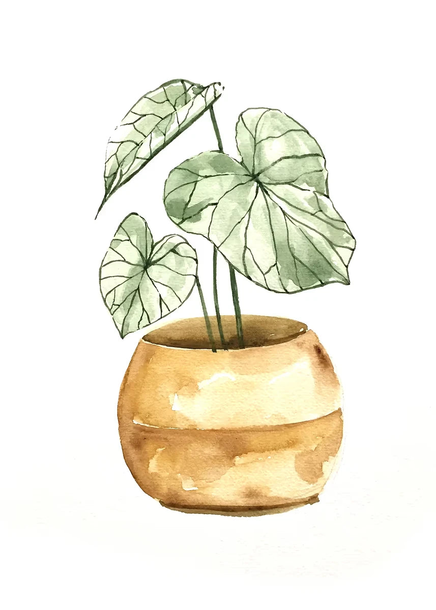 Plant Potted Watercolor Poster Family Garden Houseplant Botanical Canvas Printing Wall Art Picture for Living Room Home Decor Peaceful Pleasures Health and Wellness DM92-9 30x40cm Unframed