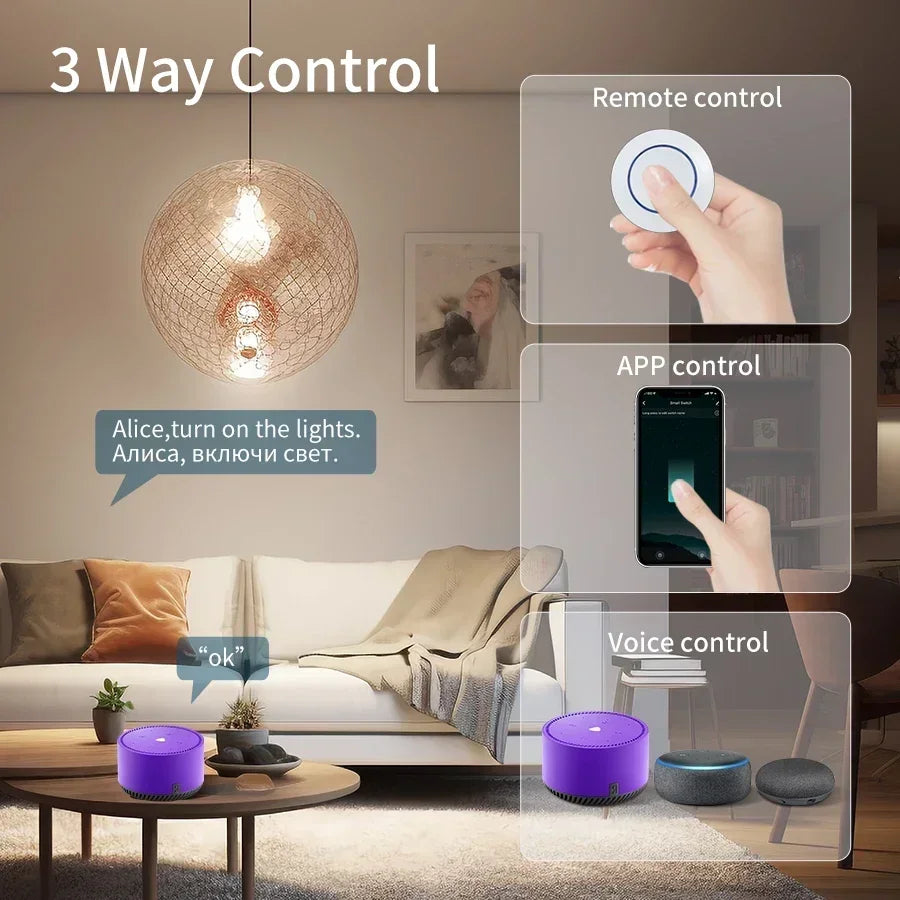 Tuya WiFi Smart Switch 16A Receiver Relay Intelligent Switch Module 433Mhz Round Button Remote Smart Life APP Alexa Google Home Peaceful Pleasures Health and Wellness