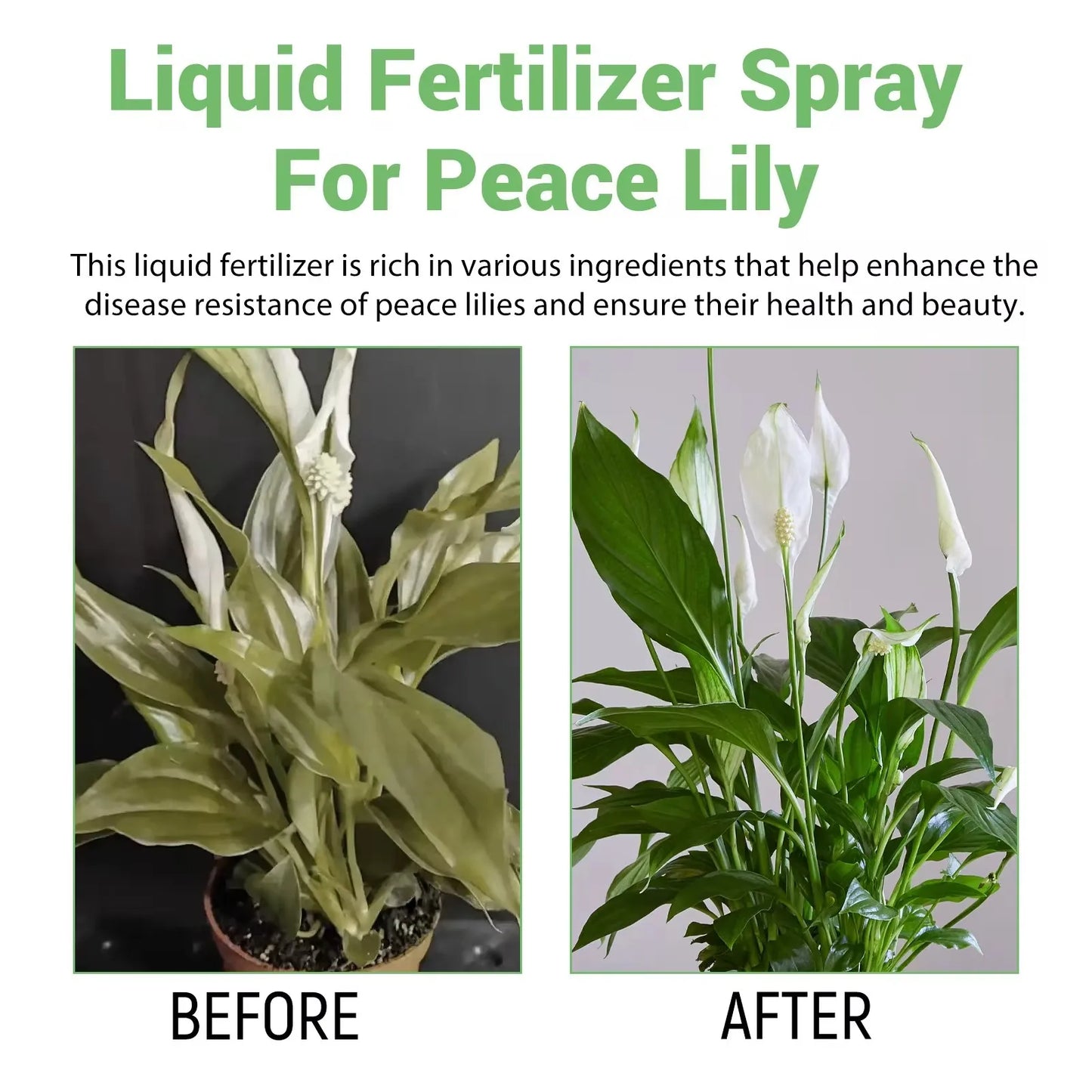 MOONSPRY Rooting Booster Liquid Fertilizer | Hydroponic Plants