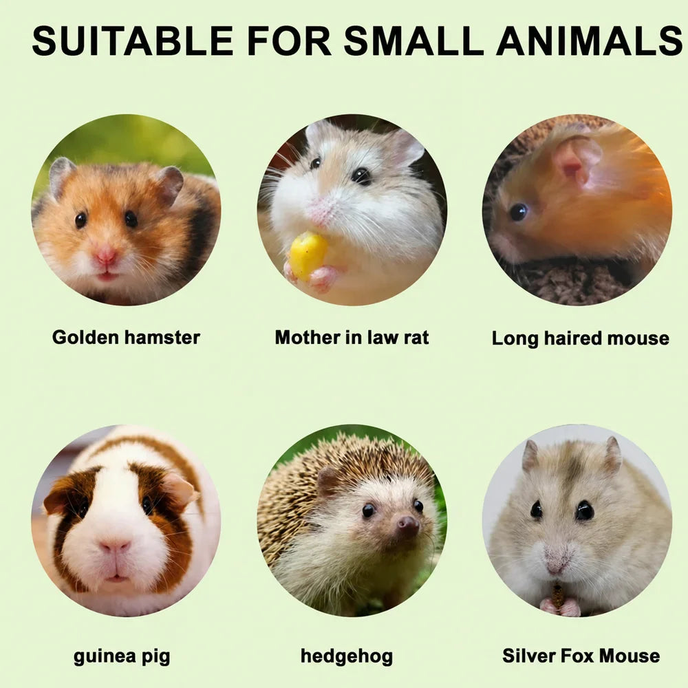 MIRAVEXL Hamster Bath Sand – Odor Control for Small Pets 500g