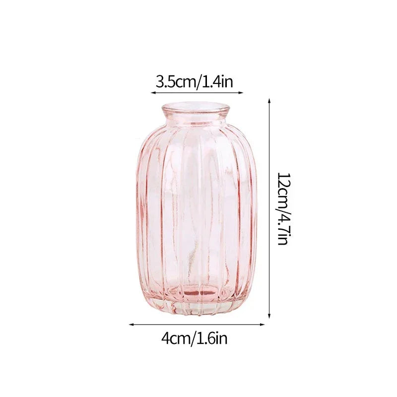 Vintage Transparent Glass Vase | Flower Bottle & Plant Pot