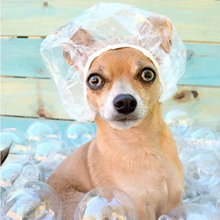 Disposable Shower Caps – Hair Dye, Treatment & Shampoo Hat