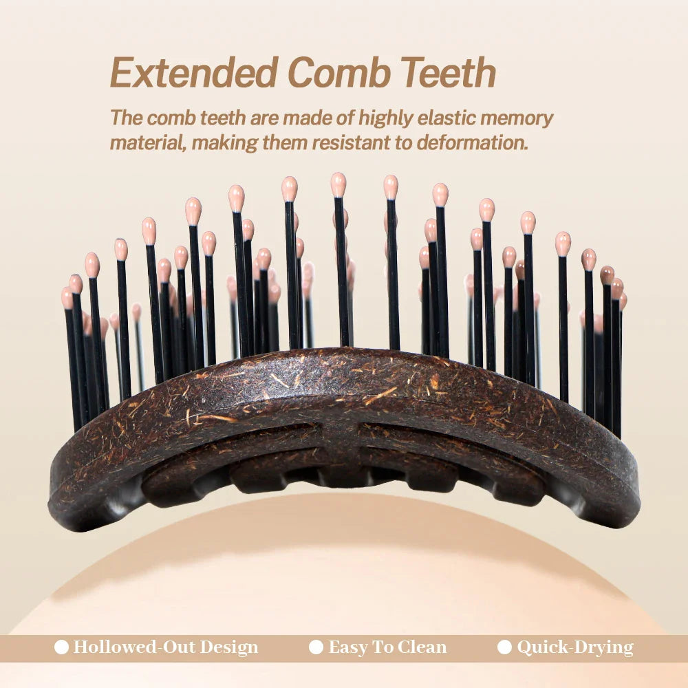Hollow Detangling Hair Brush – Anti-Static Scalp Massage Comb