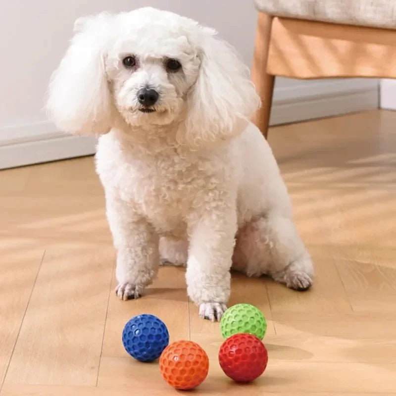Indestructible Squeaky Dog Ball | Natural Rubber Chew Toy