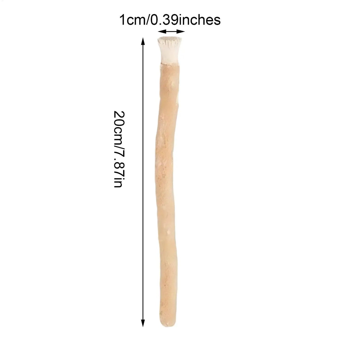 Sewak Sticks Natural Teeth Cleaning Stick | Travel Toothbrush