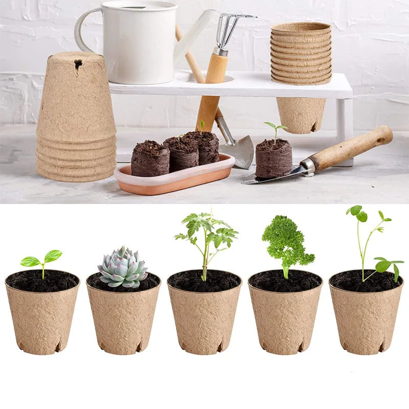 Biodegradable Pulp Seed Starter Pots | 10/20 Pack with Drainage