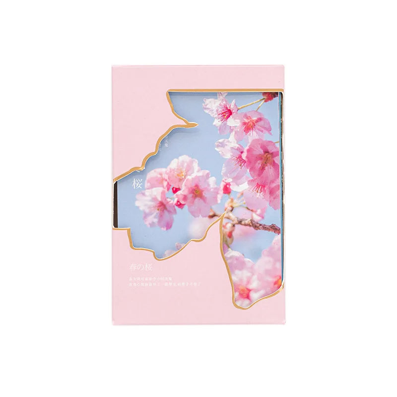 Spring Cherry Blossom Series Postcard INS Greeting Cards Wish Card