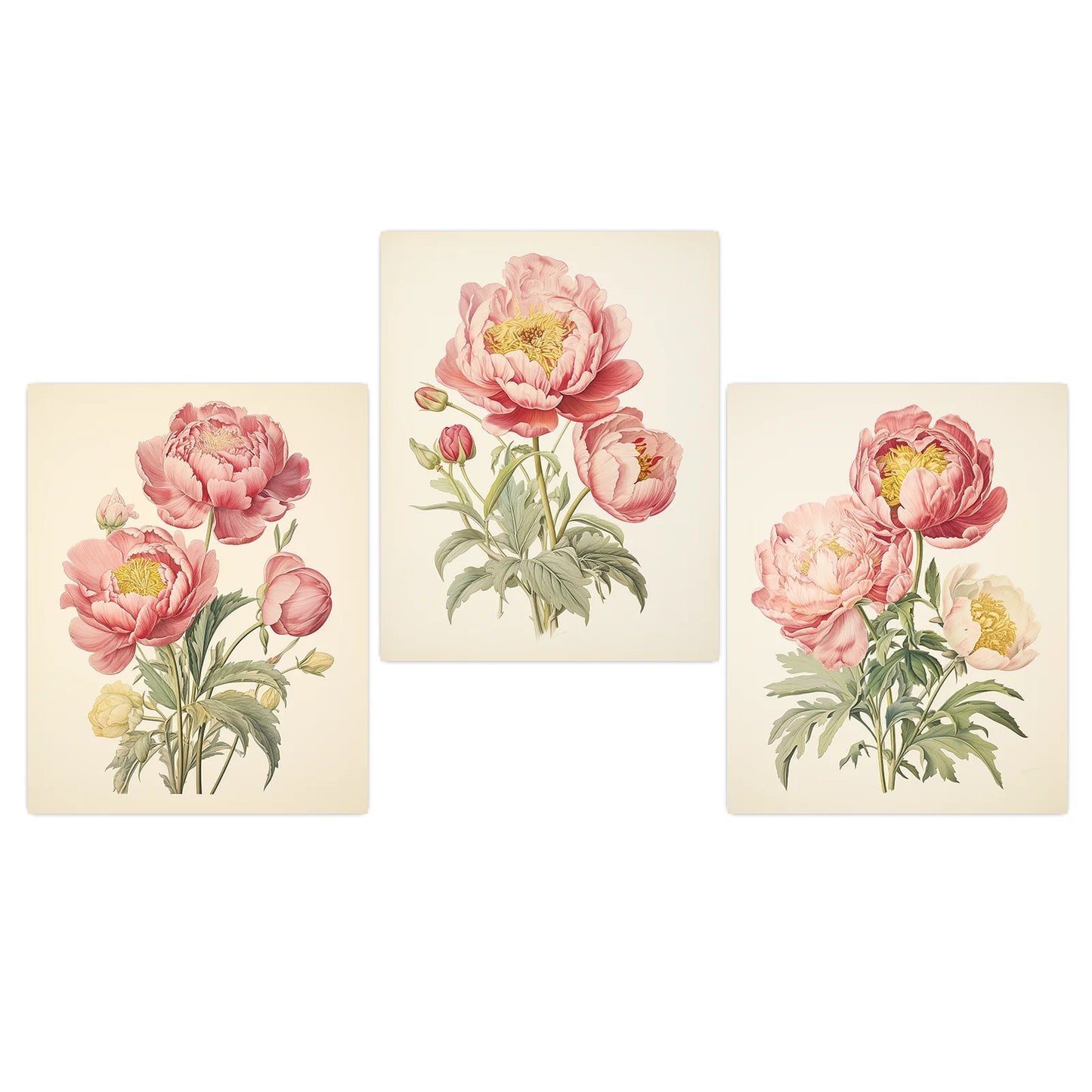 Vintage Botanical Peony Canvas Print | Pink Floral Wall Art Floral Canvas Print Peaceful Pleasures Health and Wellness 01 40x60cm No Frame China Mainland