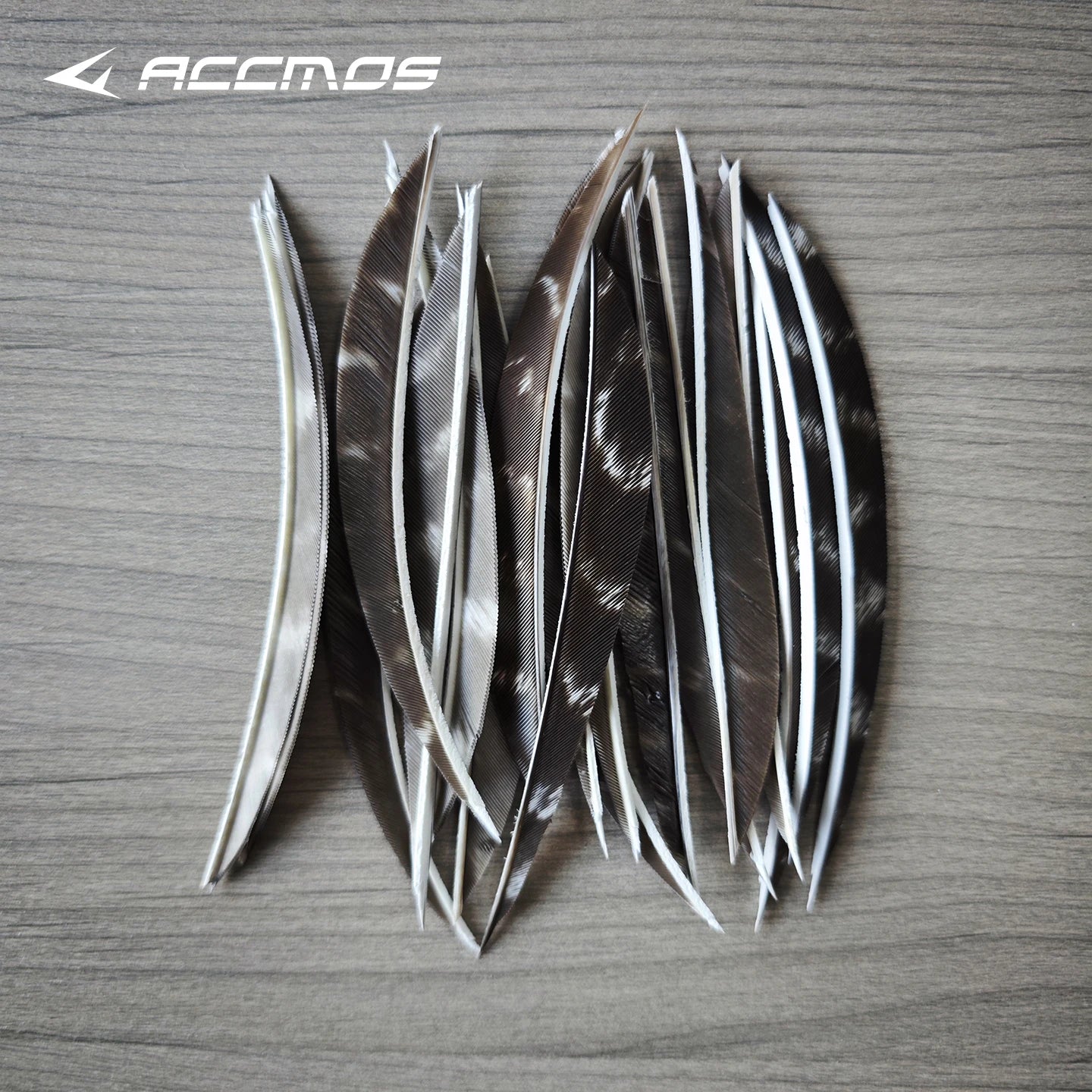 25 RW LW Natural Turkey Archery Arrow Feathers Shield 3 4 Fletching