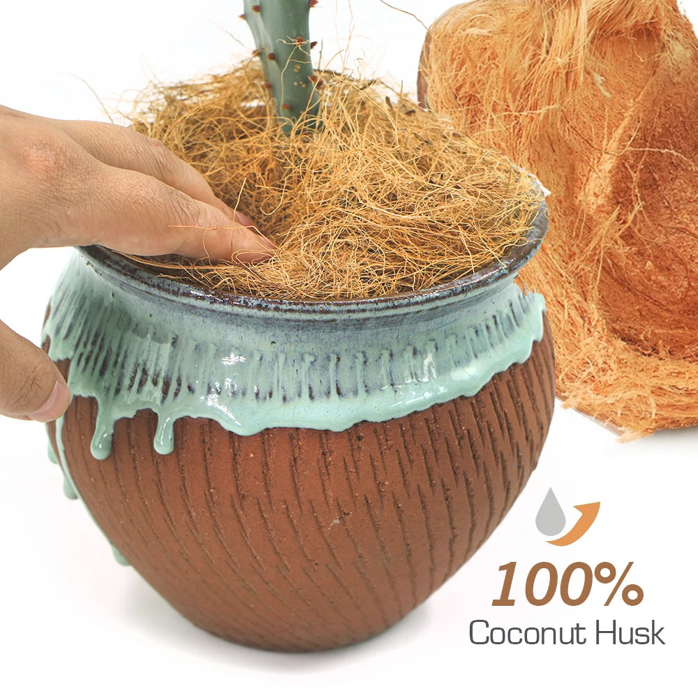 Natural Coconut Husk Fiber 50g–500g | Plants & Reptile Bedding