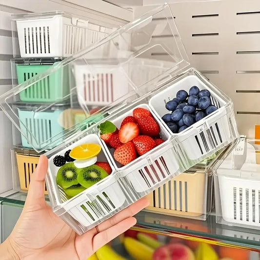 Compartment Bento Box Set – Transparent Food Storage Containers Food Storage Container Peaceful Pleasures Health and Wellness
