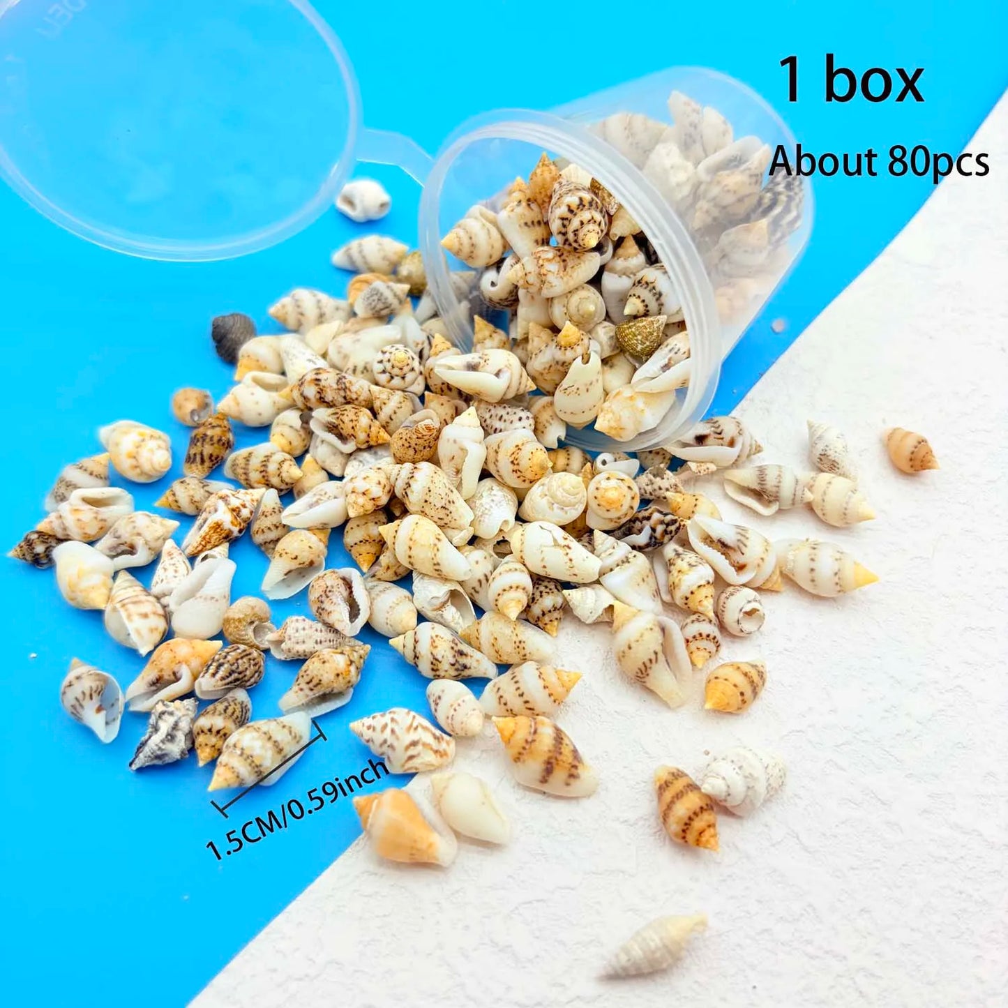 Tiny Sea Shells Box – Candle, Jewelry & Aquarium Crafts