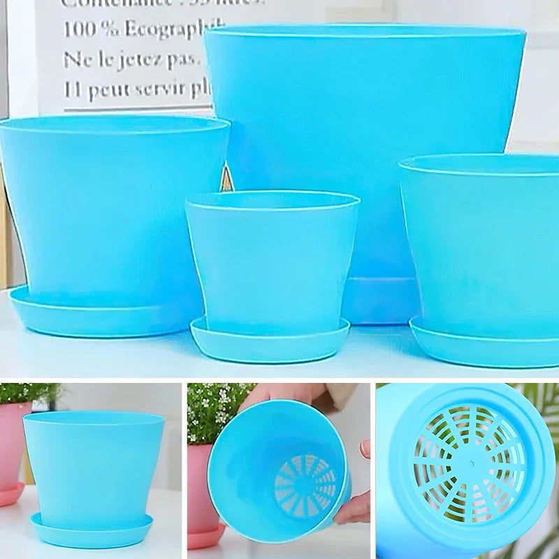 5-Size Round Plastic Planter Pots with Tray | Succulents & Bonsai