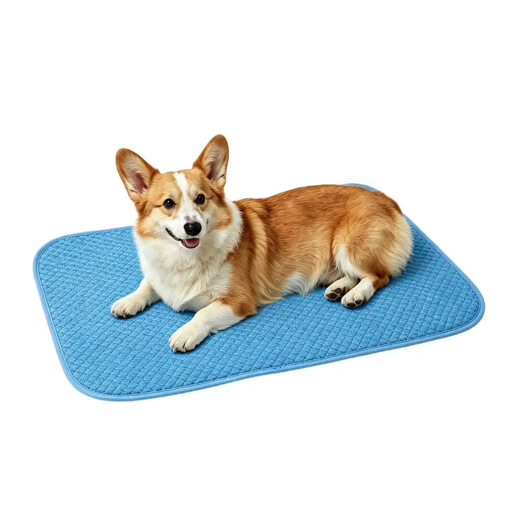 Dog Cooling Mat Waterproof Non-Slip Kennel Blanket Cooling Mat For Crate Kennel Car Sofa Bed Floor Summer Outdoor Indoor Peaceful Pleasures Health and Wellness C China Mainland