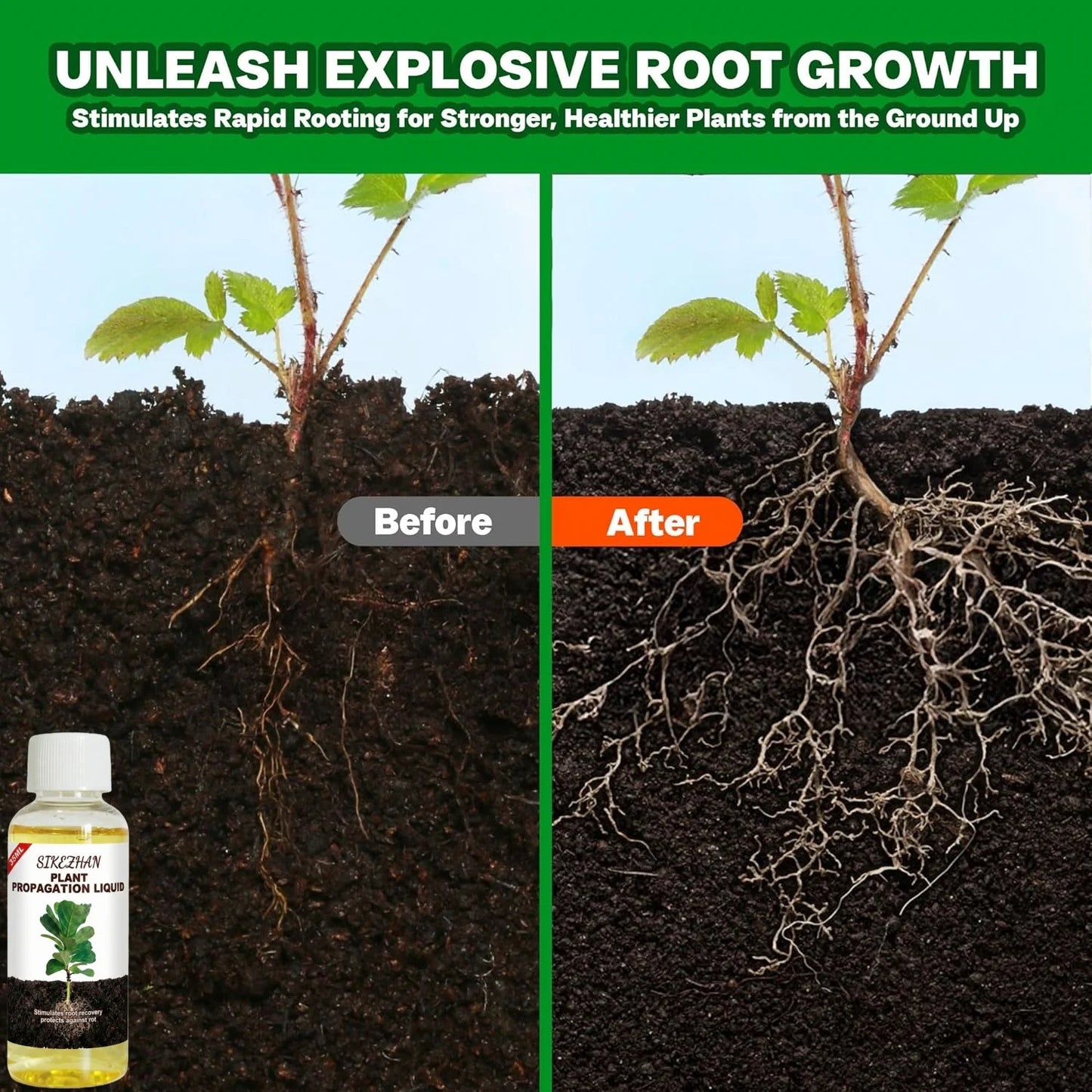Rapid Rooting Liquid Hormone for Plants Propagation Solution Promote Root Growth Fertilizer Recovery for Struggling Houseplants Peaceful Pleasures Health and Wellness