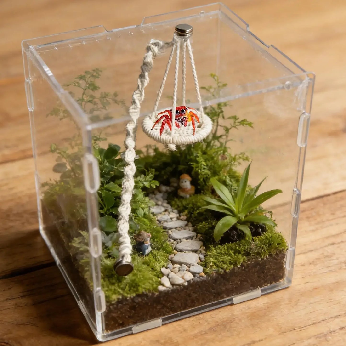 Jumping Spider Hammock & Bridge Climbing Set | Gecko Habitat