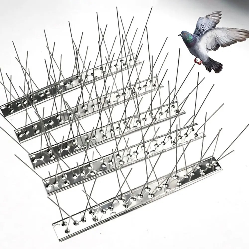 Stainless Steel Bird Spikes 25/33/50cm – Rust-Proof Deterrent