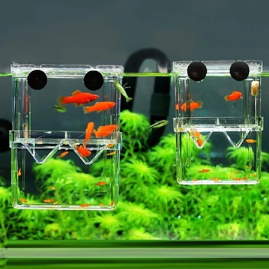 Multifunctional Fish Aquarium Clear Breeding Isolation Box Breeder Peaceful Pleasures Health and Wellness C 7.9x11x7cm