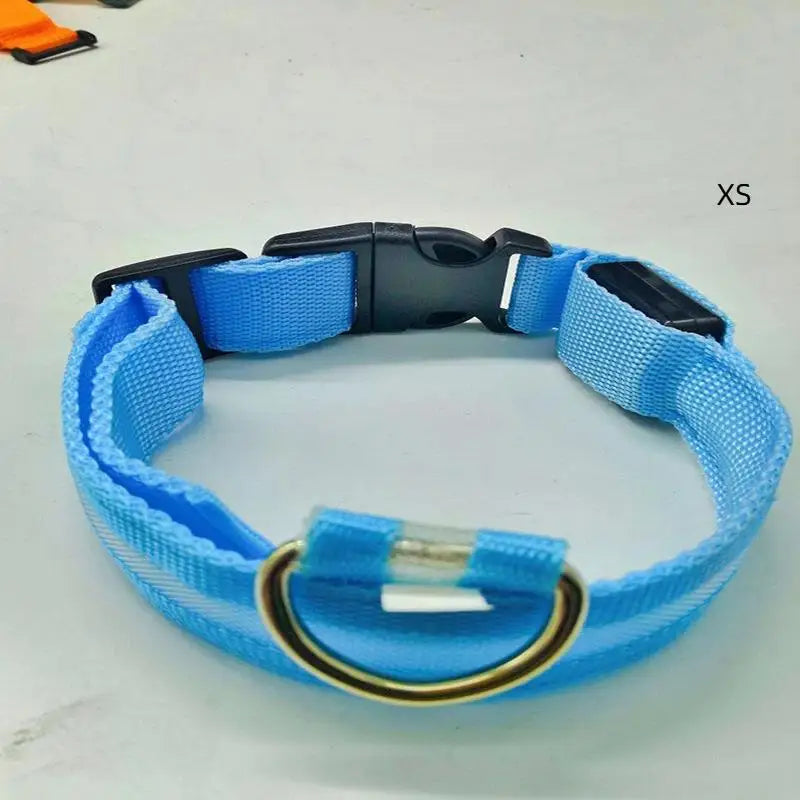 LED Light-Up Dog Collar – Glowing Safety Collar for Night Walks