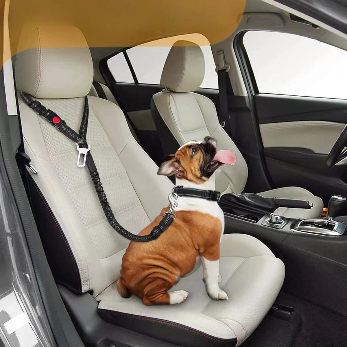 Pet Supplies High Quality Dog Leash Dog Walking Leash Automatic Retractable Ring Buckle Pet Car Seat Belt Adjustable Length Peaceful Pleasures Health and Wellness