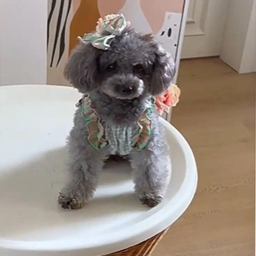 Plaid Lace Pet Dress – Soft Summer Skirt for Cats & Puppies
