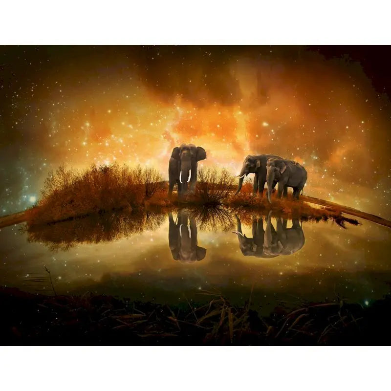 GATYZTORY Frame African Elephant diy painting by numbers animal modern wall art picture acrylic paint unique gift for home decor Peaceful Pleasures Health and Wellness 993798 30x40cm Unframed