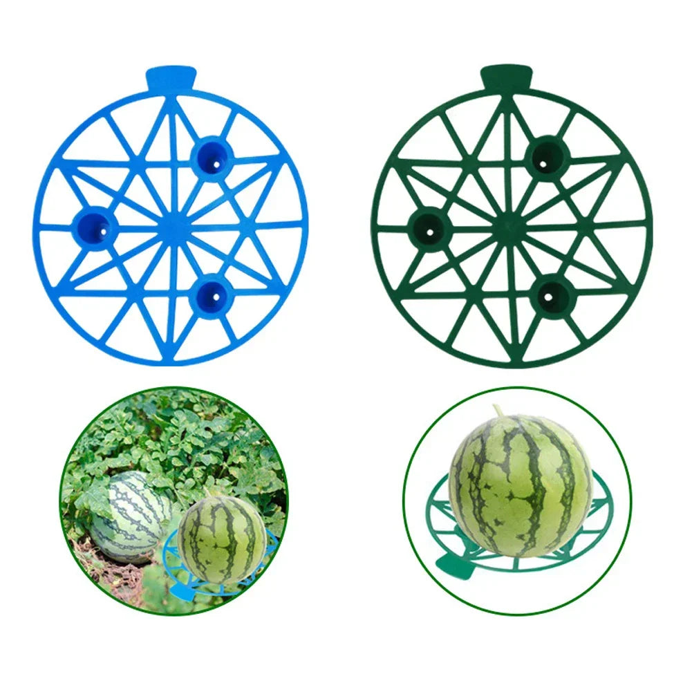 Watermelon & Melon Cradle Nursery Tray – 10-Pack (Blue or Green) Peaceful Pleasures Health and Wellness