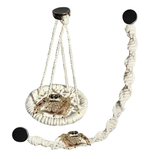 Jumping Spider Hammock & Bridge Climbing Set | Gecko Habitat Reptile Habitat Accessory Peaceful Pleasures Health and Wellness