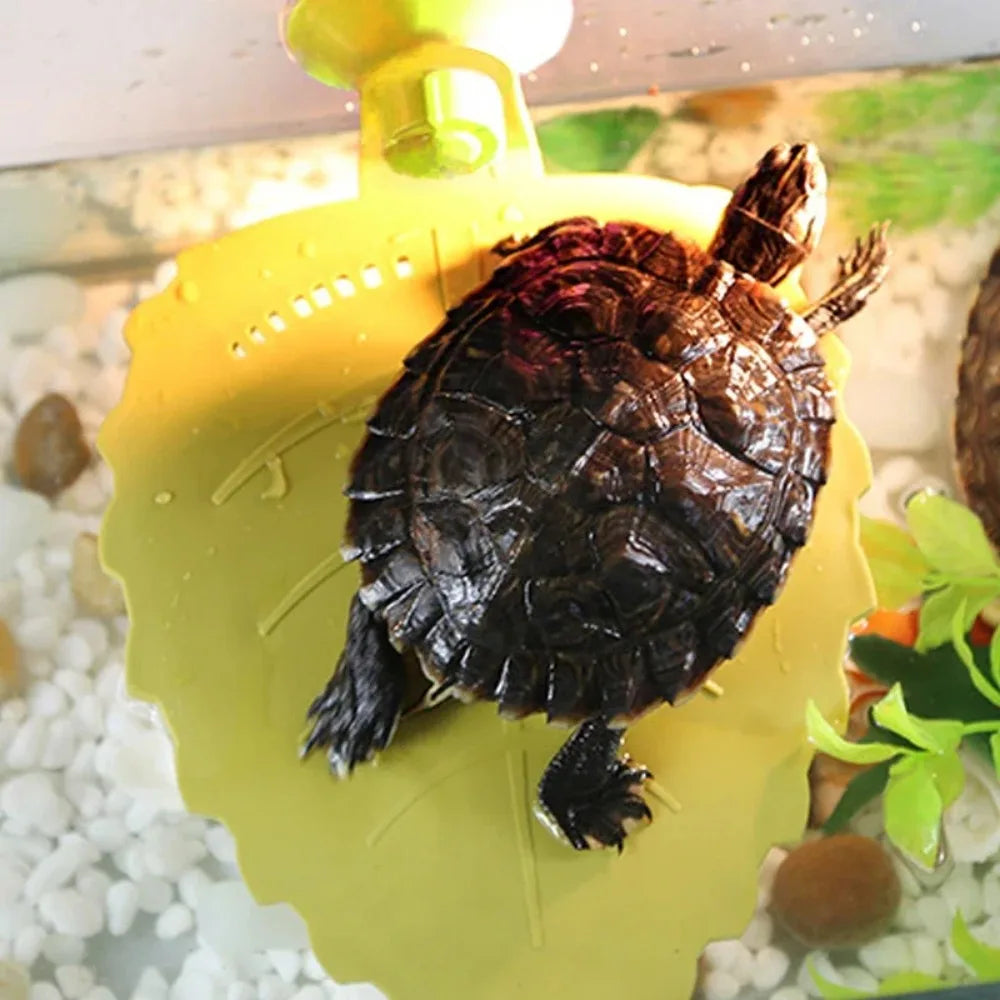 Turtle Sun Drying Platform Climbing Turtle Sun Drying Back Floating Platform Suction Cup Plastic Acrylic Leaf Climbing Platform Peaceful Pleasures Health and Wellness