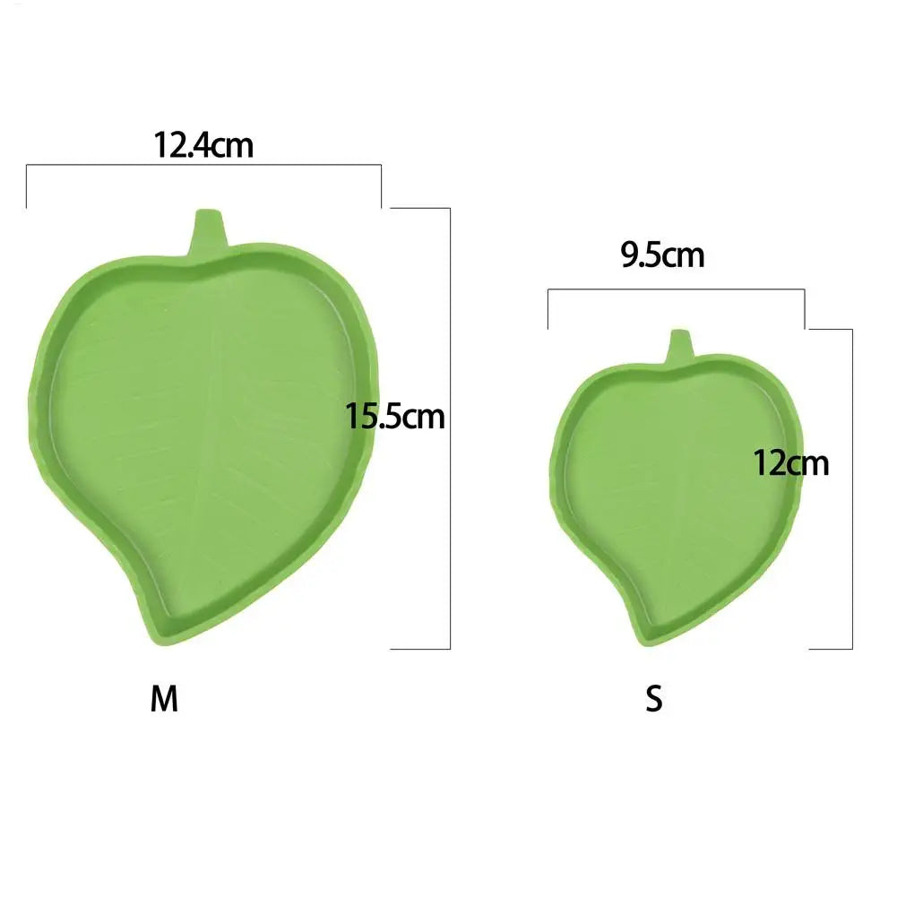 Reptile Leaf Feeding Bowl | Tortoise, Turtle & Lizard Dish