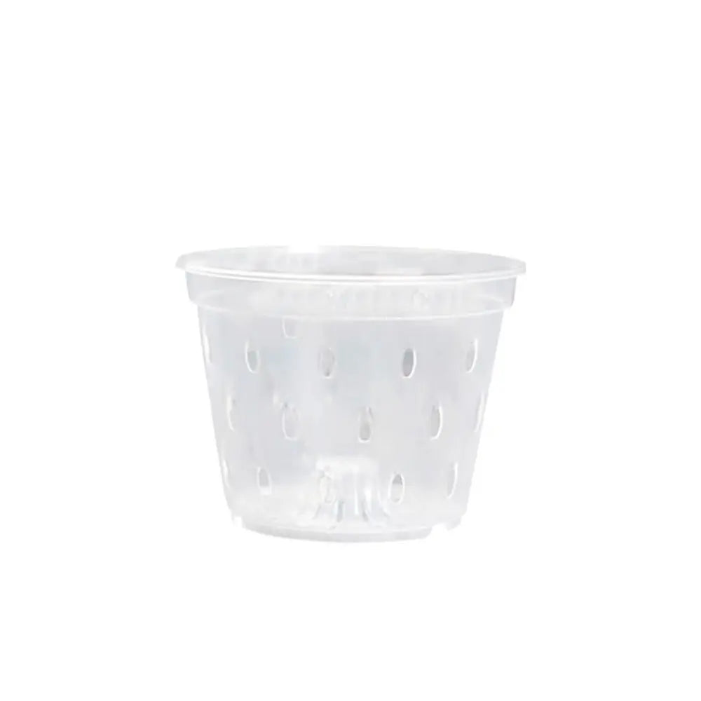 Transparent Orchid Pot with Drainage Holes & Tray | Phalaenopsis