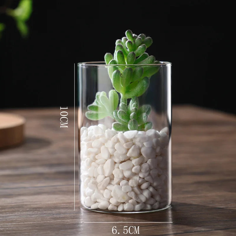 Transparent Glass Hydroponic Vase Modern Small Cylinder Flower Centerpiece Vases Use For Floral Wedding Home Decoration Peaceful Pleasures Health and Wellness 6.5x10cm