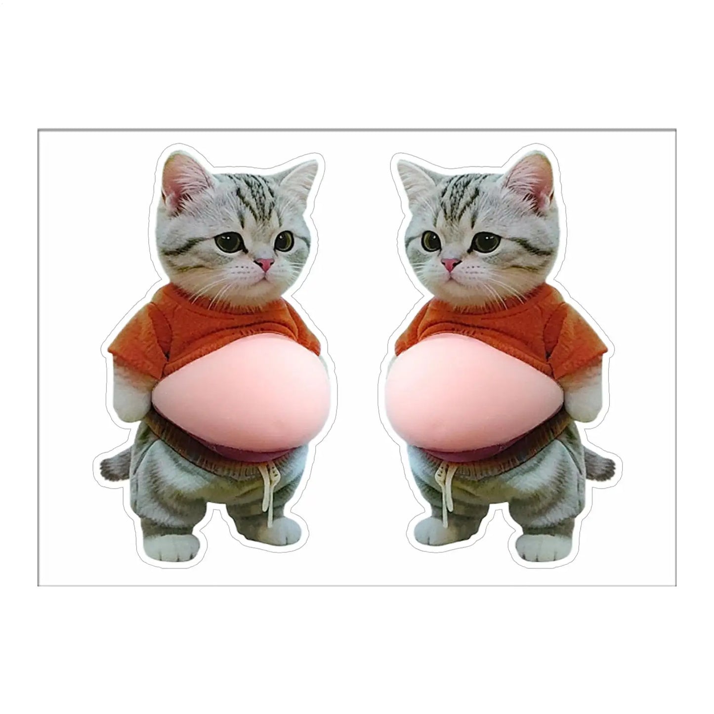 3D Cat Belly Squeeze Sticker – Cartoon Phone & Home Decor