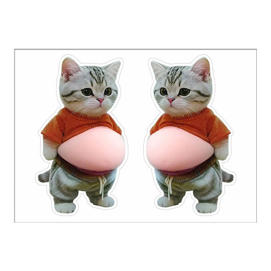 3D Cat Belly Squeeze Sticker – Cartoon Phone & Home Decor Decorative Sticker Oasis Select
