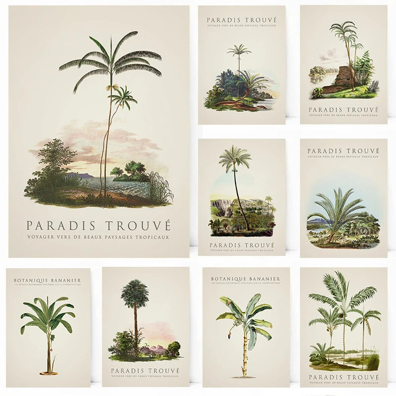 Tropical Palm & Banana Tree Vintage Botanical Canvas Wall Art Botanical Canvas Print Peaceful Pleasures Health and Wellness