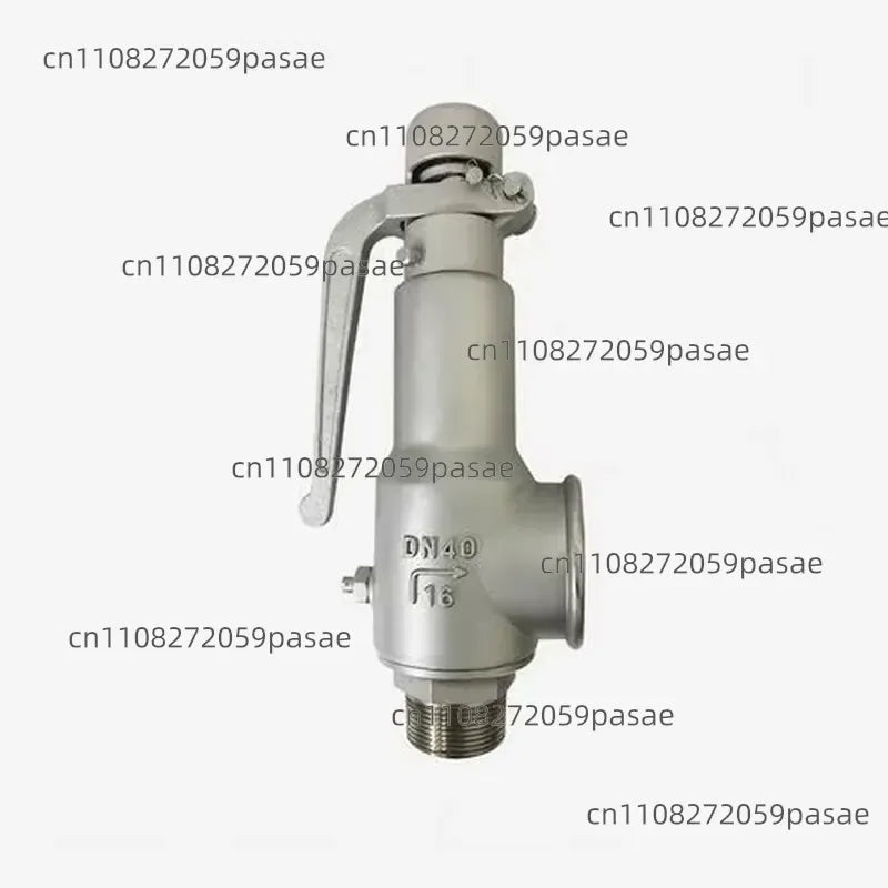 A28W-16P Stainless Steel Male Threaded Manual Safety Valve