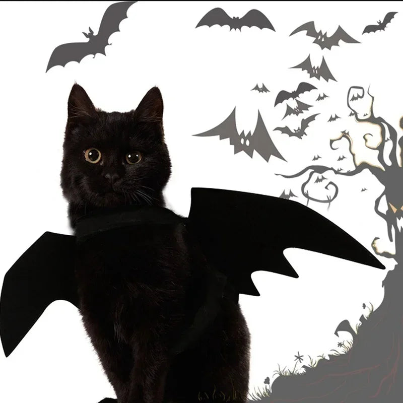 1PC Cute Pet Black Bat Wings Harness Costume Pet Cosplay Suit Cat Dog Halloween Party Pet Supplies Funny Dog Halloween Costume Peaceful Pleasures Health and Wellness