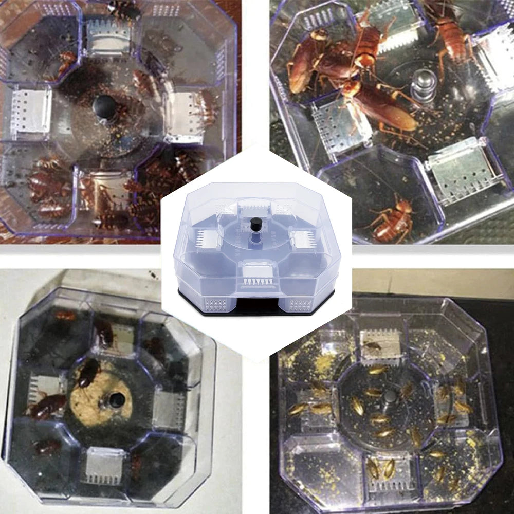 Cockroach Trap Bug Catching Tool Cockroach Box Home Indoor Kitchen Safety Physical Bug Size Pass Kill Trap Trap Peaceful Pleasures Health and Wellness