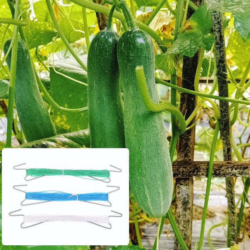 10Pcs Plants Hooks Clips With 10M Rope + 20 Clips J Hooks Clips Set Tomatoes Growing Hooks Clips For Tomato Grape Pepper Peaceful Pleasures Health and Wellness