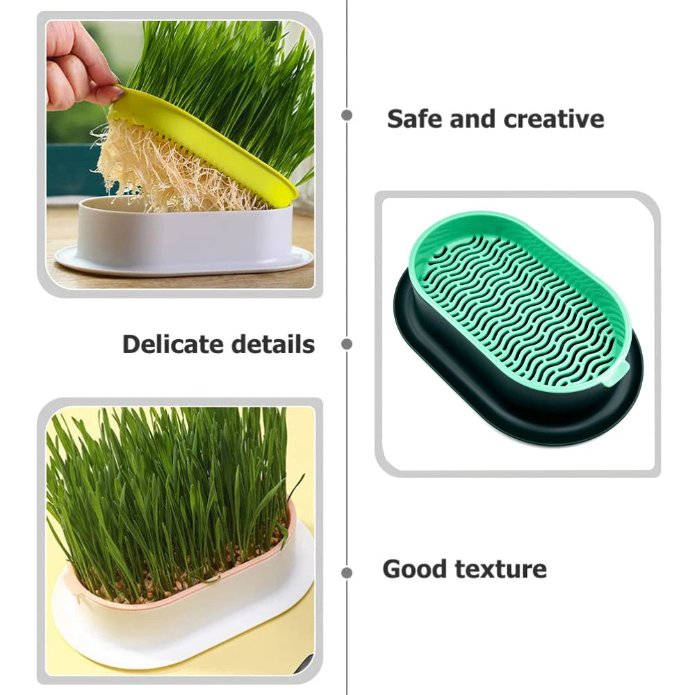 New Pet cat sprout Dish Growing Pot Hydroponic Plant cat Grass Germination Digestion starter Dish Greenhouse Grow Box Peaceful Pleasures Health and Wellness