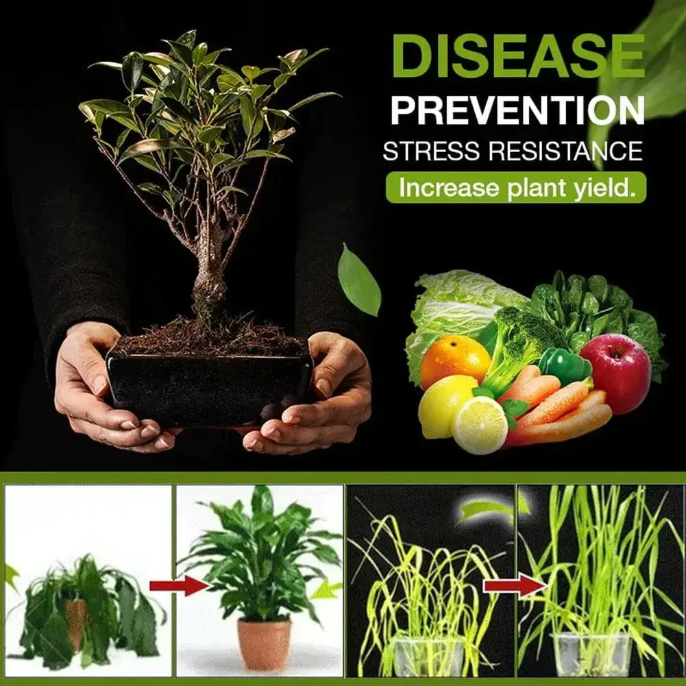 Mineral Source Soil Conditioner Universal Plant Fertilizer For Seedling Growth & Rooting Gardening Essential For Indoor Outdoor Peaceful Pleasures Health and Wellness