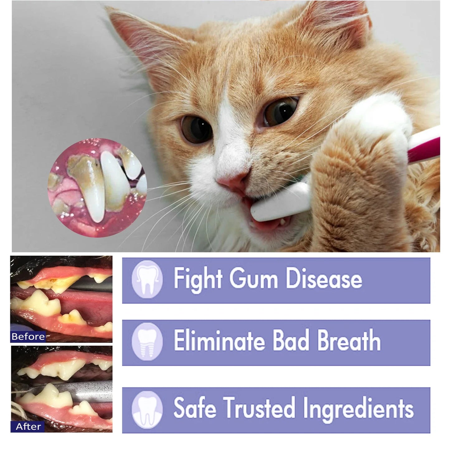 YEGBONG Pet Toothpaste – Tartar, Bad Breath & Whitening 50g