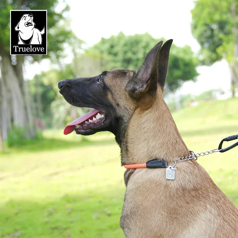 Truelove Large Dog Training Collar Reflective Nylon Stainless Steel Chain Adjustable Heavy Duty No Pull Dog Collar TLC5375 Peaceful Pleasures Health and Wellness