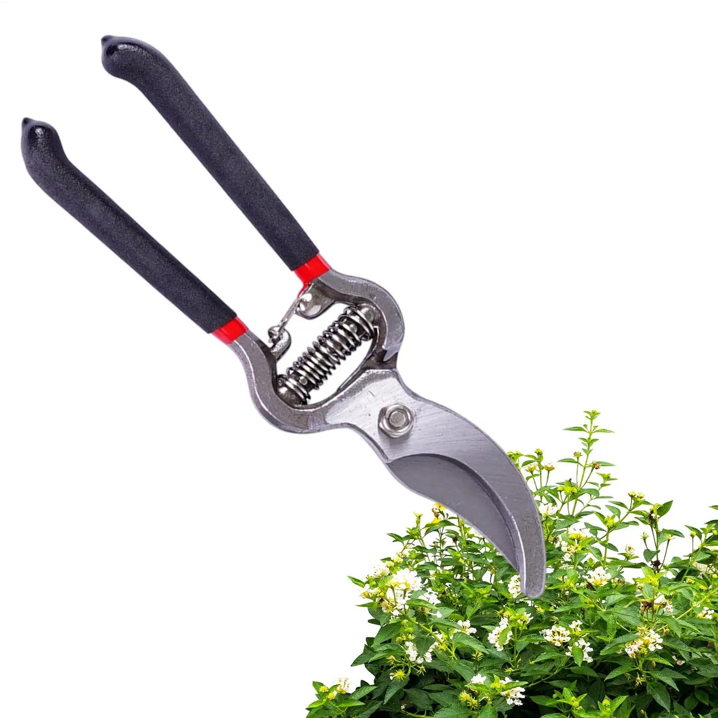 Stainless Steel Pruning Shears | Sharp Garden Hand Clippers