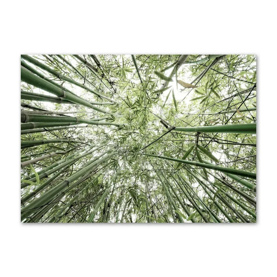 1pc frameless Canvas Painting Simple Wall Art Nature Green Leaf Landscape Poster Oil Painting Posters Prints Home Bedroom Liv Peaceful Pleasures Health and Wellness