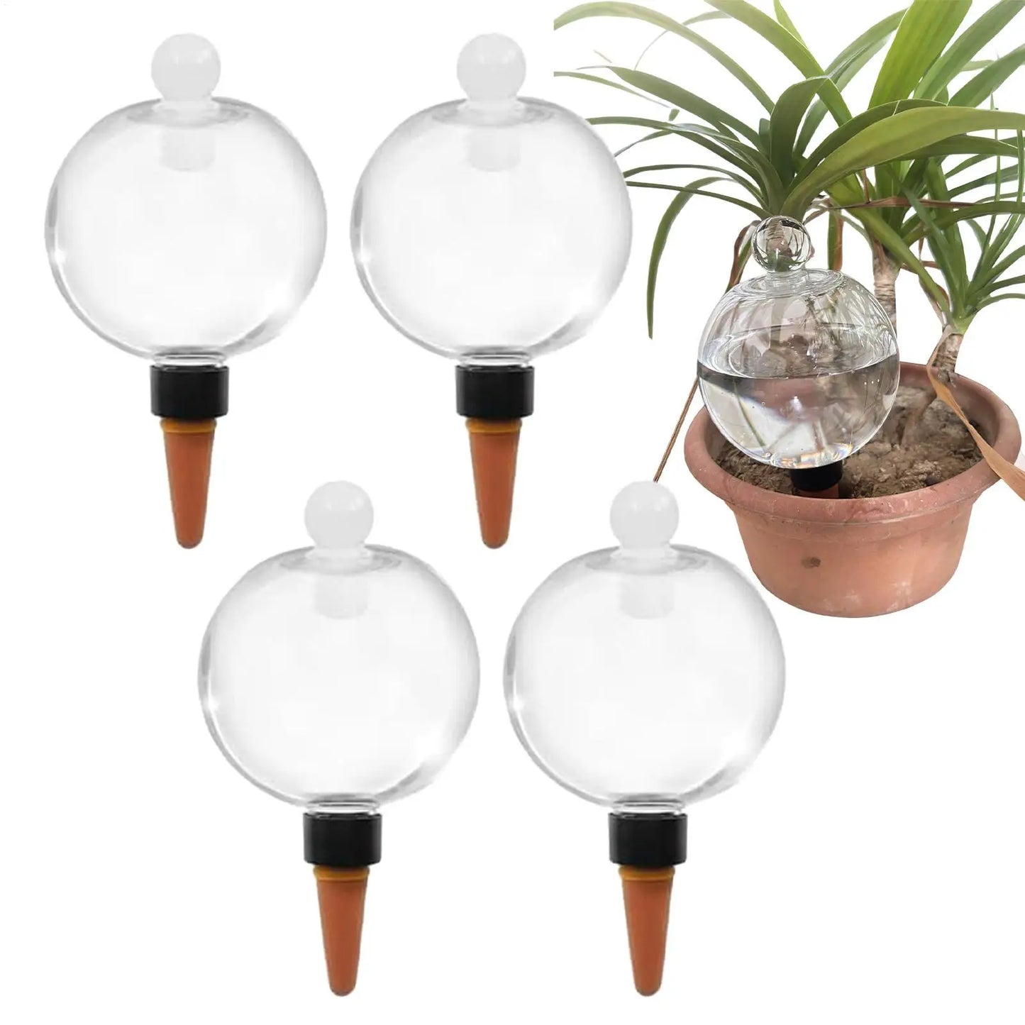 4-Pack Self-Watering Globes 500ml | Auto Drip Plant Bulbs
